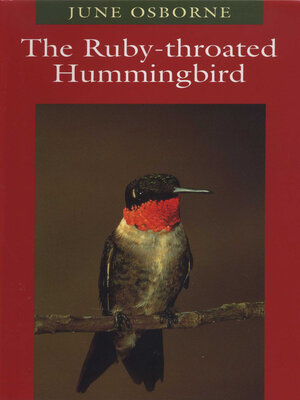 cover image of The Ruby-throated Hummingbird